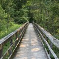 Discovering the Great Outdoors: Outdoor Adventures and Sights near Venues in Erie County, New York