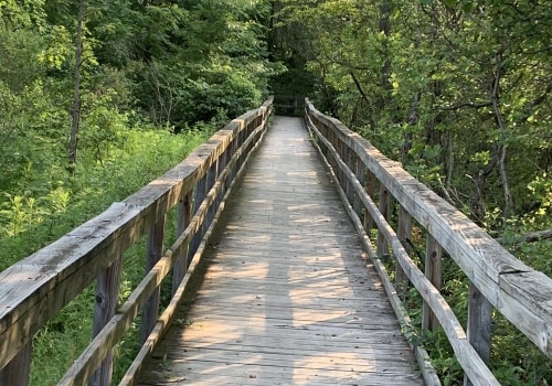 Discovering the Great Outdoors: Outdoor Adventures and Sights near Venues in Erie County, New York